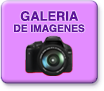 boton galerias